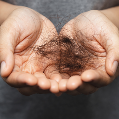 How Much Hair Loss is Normal? An Honest Conversation with Keshavya Hair